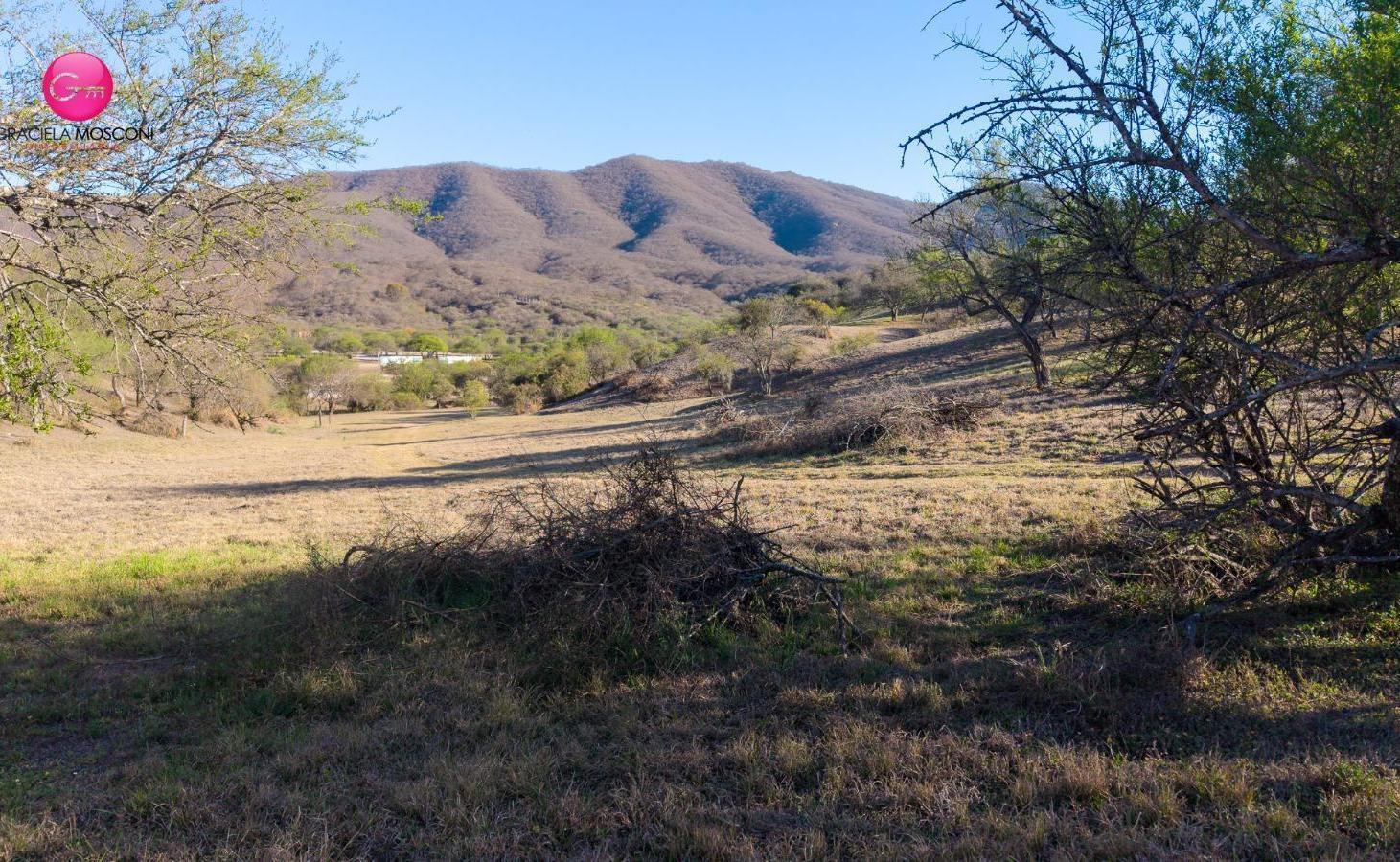 Foto de Terreno en La Lucinda 1, imagen 3