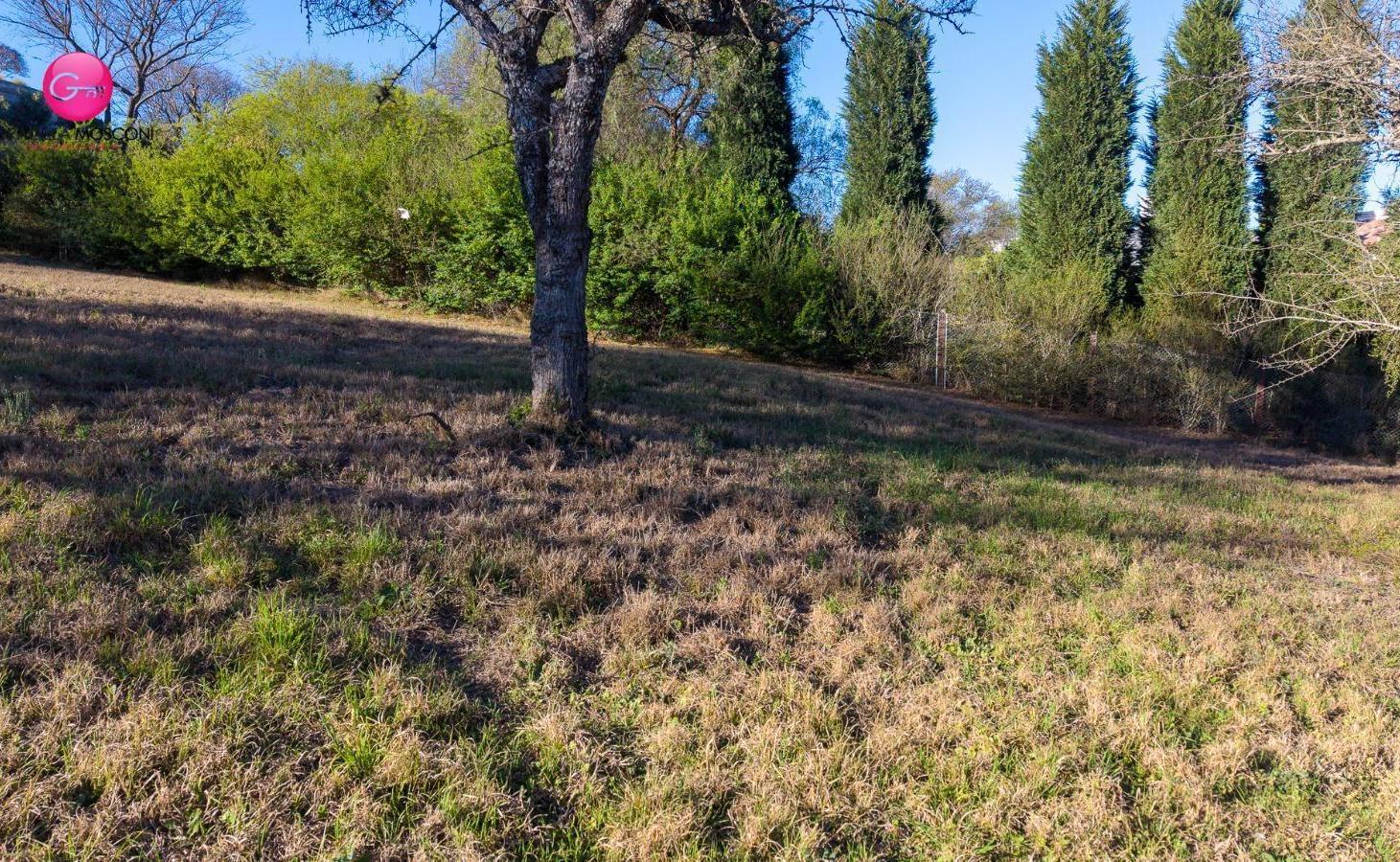 Foto de Terreno en La Lucinda 1, imagen 4
