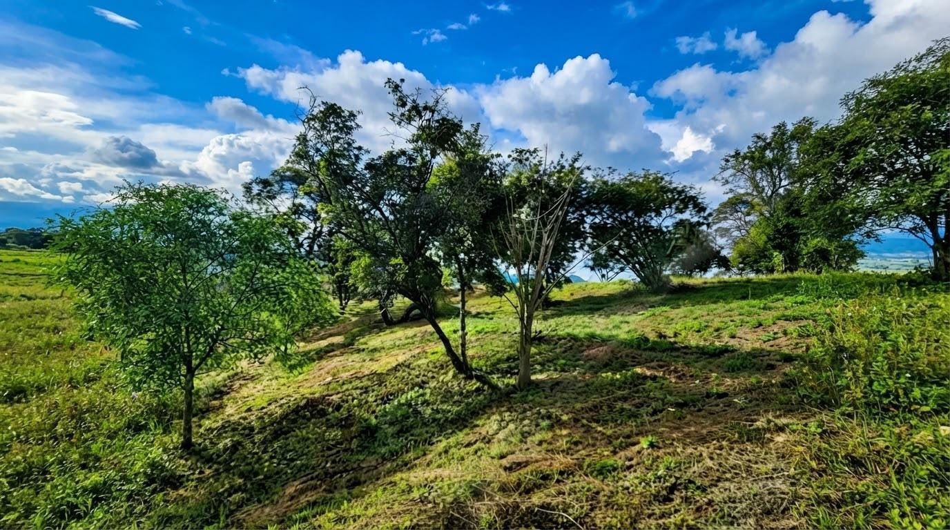 Foto de Terreno - Zona Norte, imagen 4