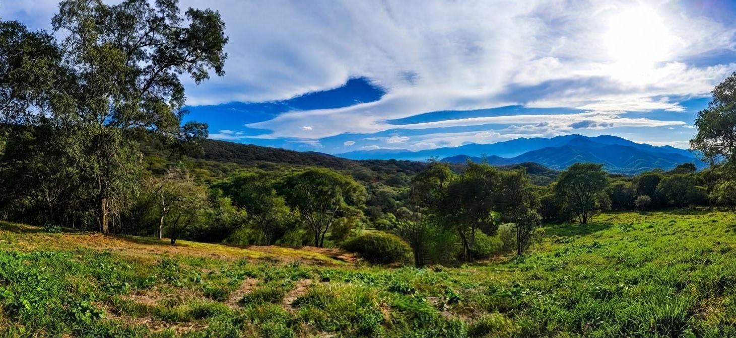 Foto de Terreno - Zona Norte, imagen 2