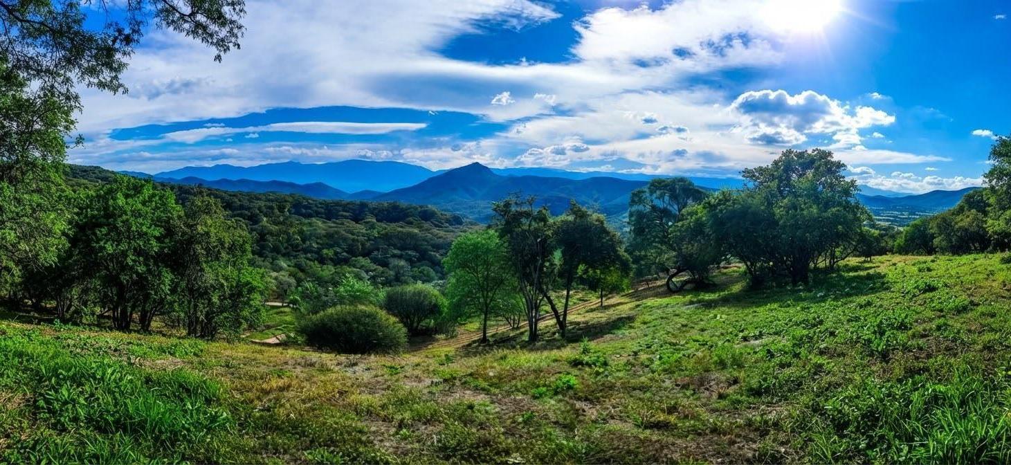 Foto de Terreno - Zona Norte, imagen 3