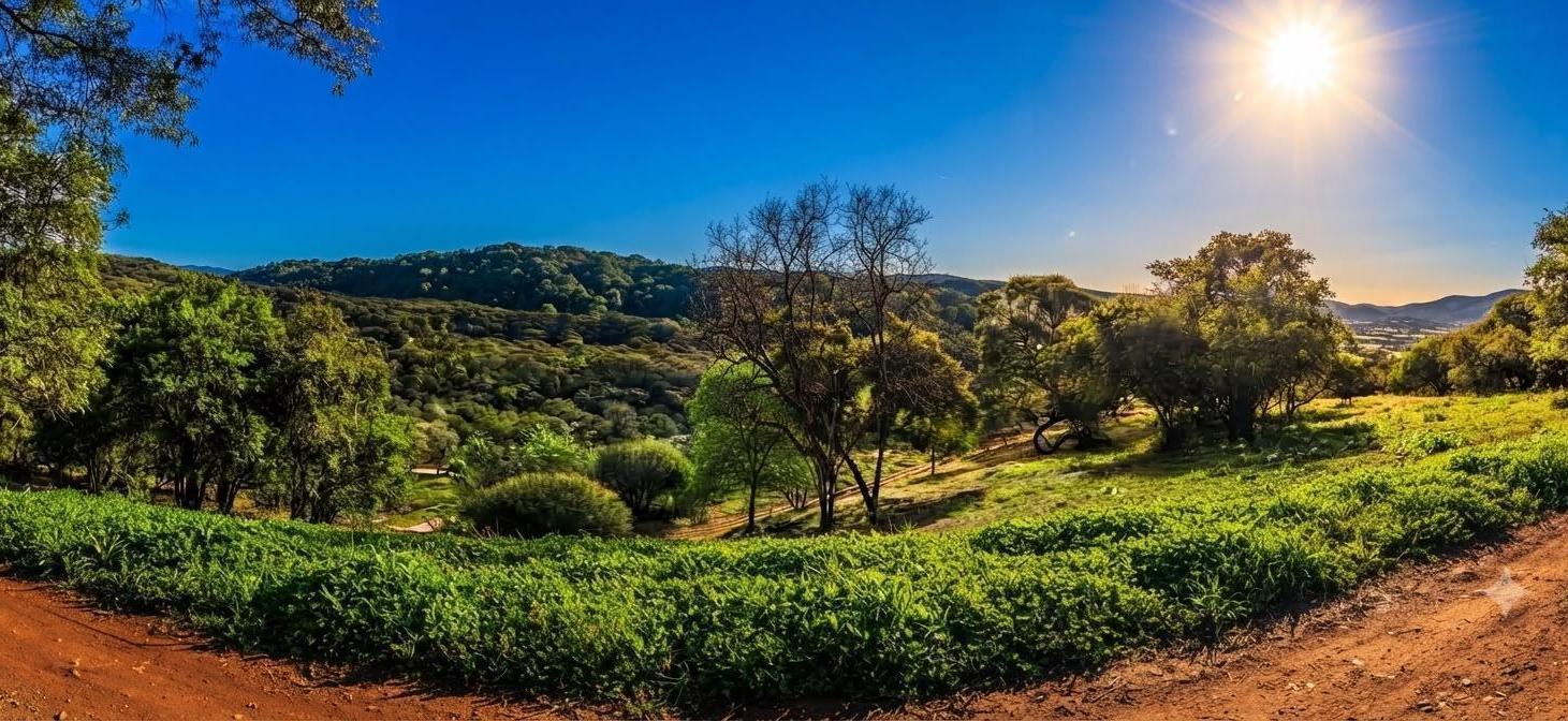 Foto de Terreno - Zona Norte, imagen 5