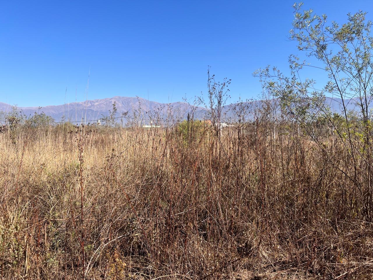 Foto de Terreno en Campo Quijano, imagen 4