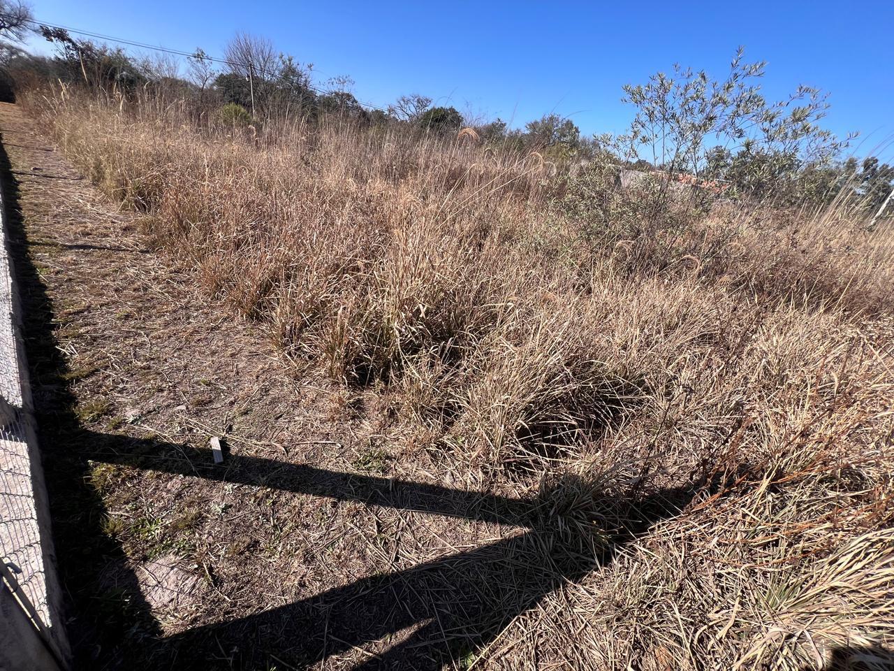 Foto de Terreno en Campo Quijano, imagen 2