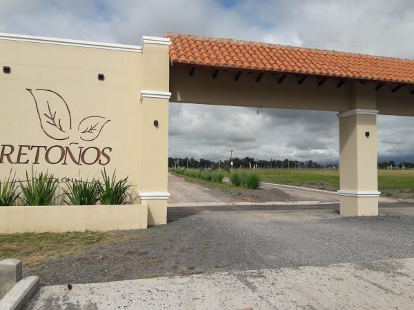 Foto de Terreno en Campo Quijano, imagen 3