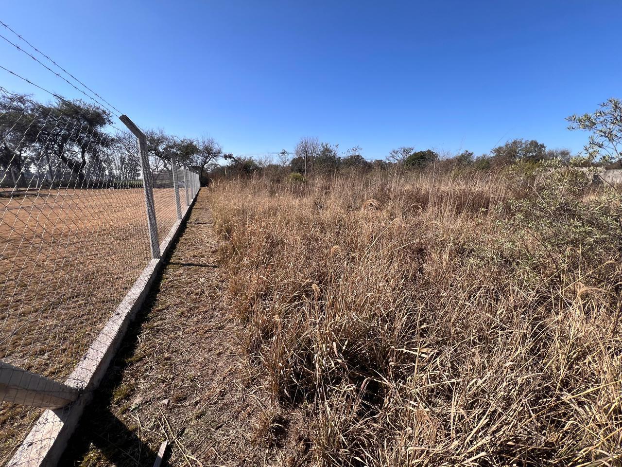 Foto de Terreno en Campo Quijano, imagen 1