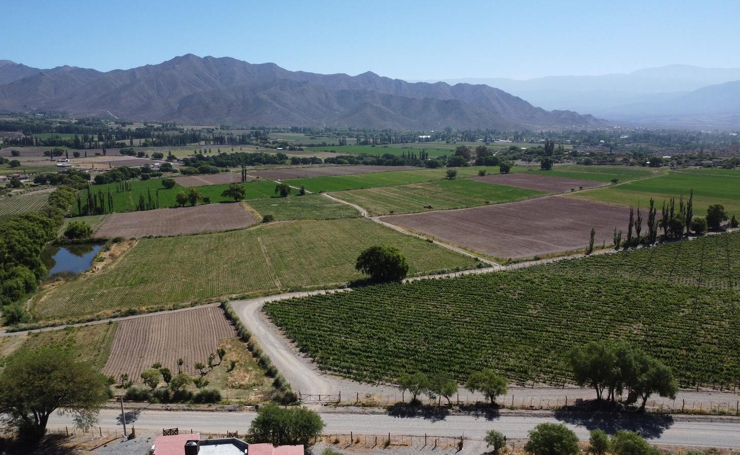 Foto de Campo en venta de 20 hectareas, imagen 3