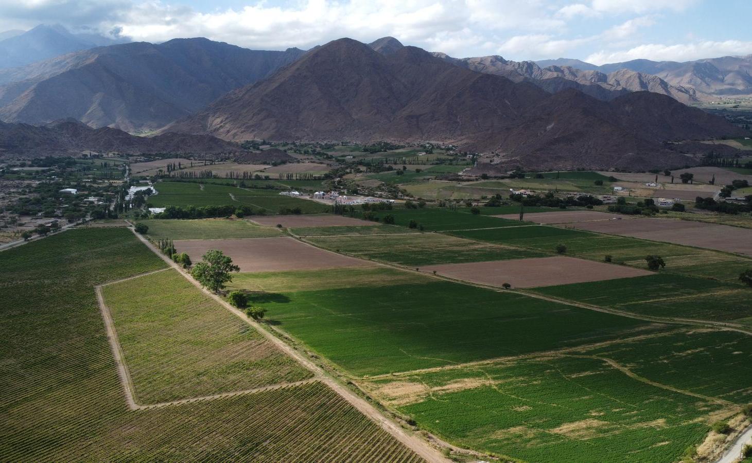 Foto de Campo en venta de 20 hectareas, imagen 4