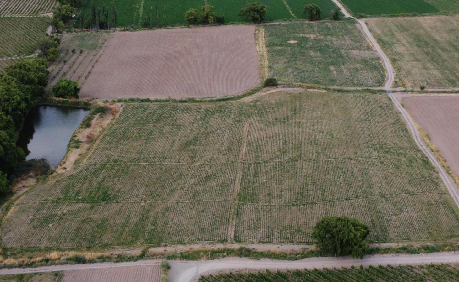 Foto de Campo en venta de 20 hectareas, imagen 5