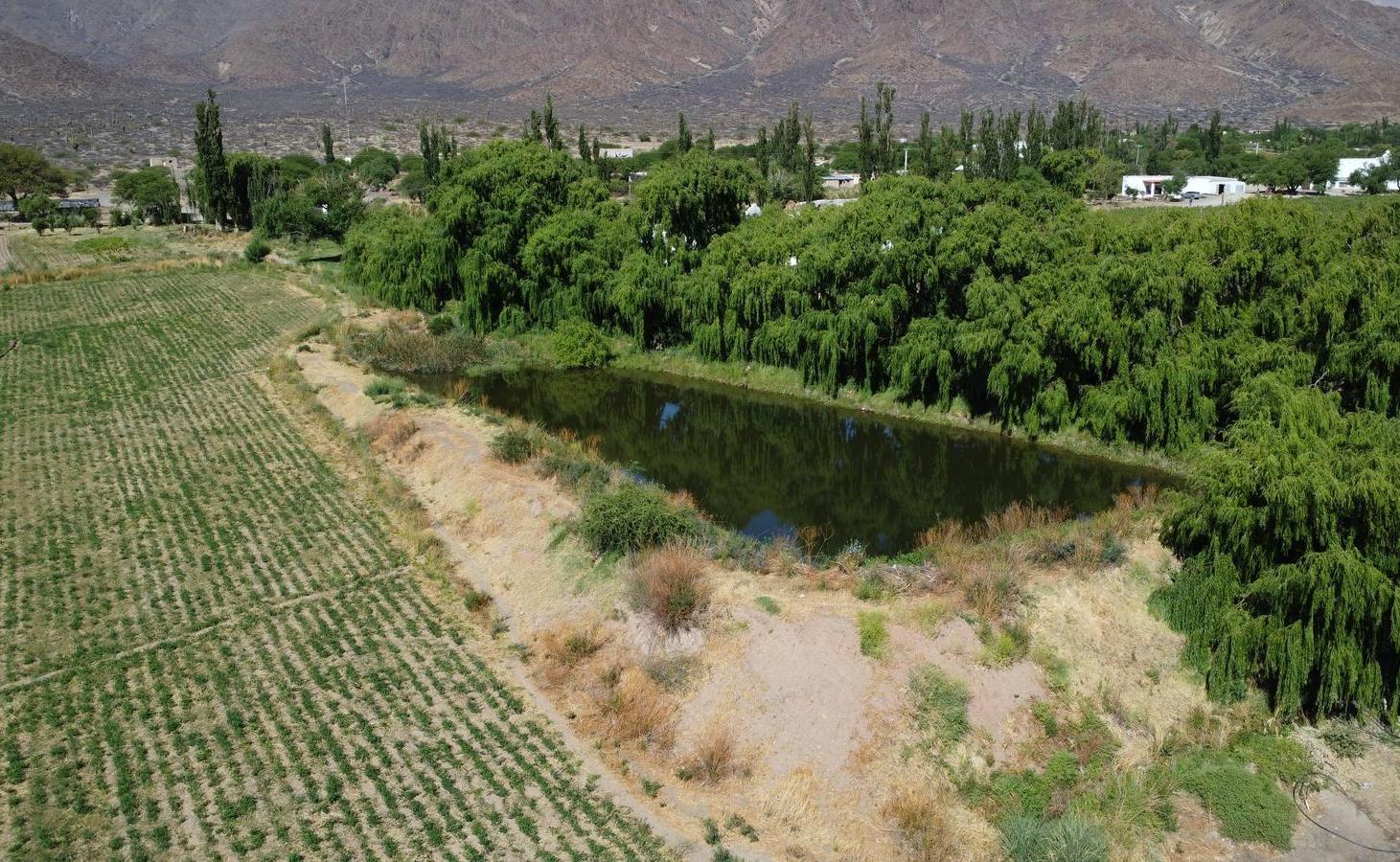 Foto de Campo en venta de 20 hectareas, imagen 2