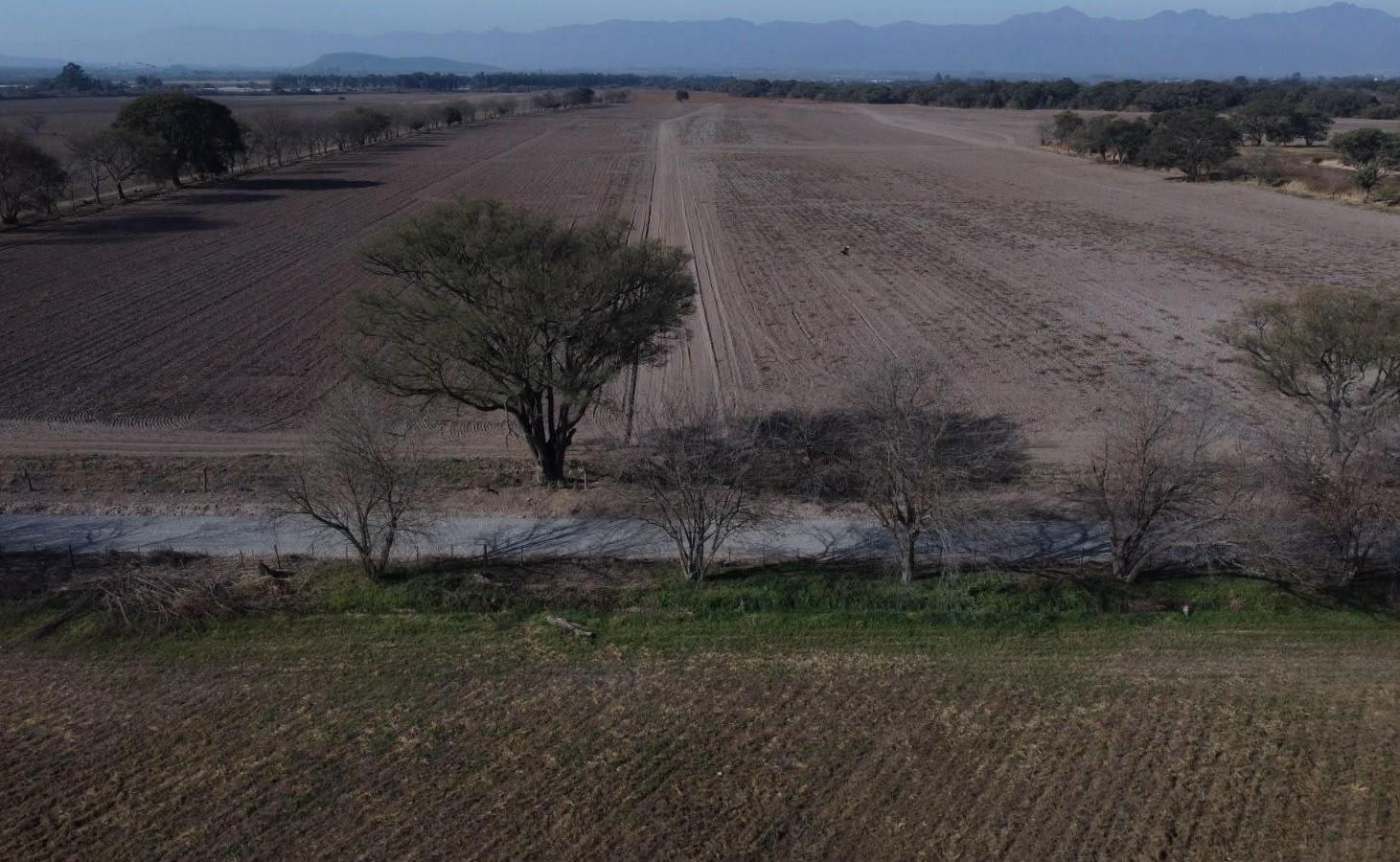 Foto de CAMPO en VENTA, Chocoana, Salta Argentina, 38,5 hectáreas productivas., imagen 5
