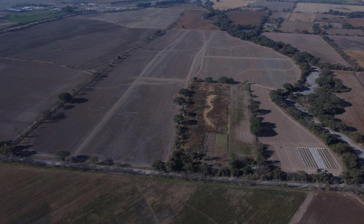 Foto de CAMPO en VENTA, Chocoana, Salta Argentina, 38,5 hectáreas productivas., imagen 3