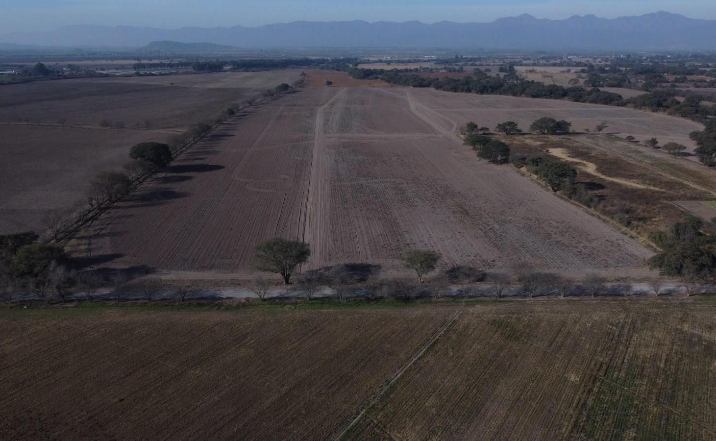 Foto de CAMPO en VENTA, Chocoana, Salta Argentina, 38,5 hectáreas productivas., imagen 4