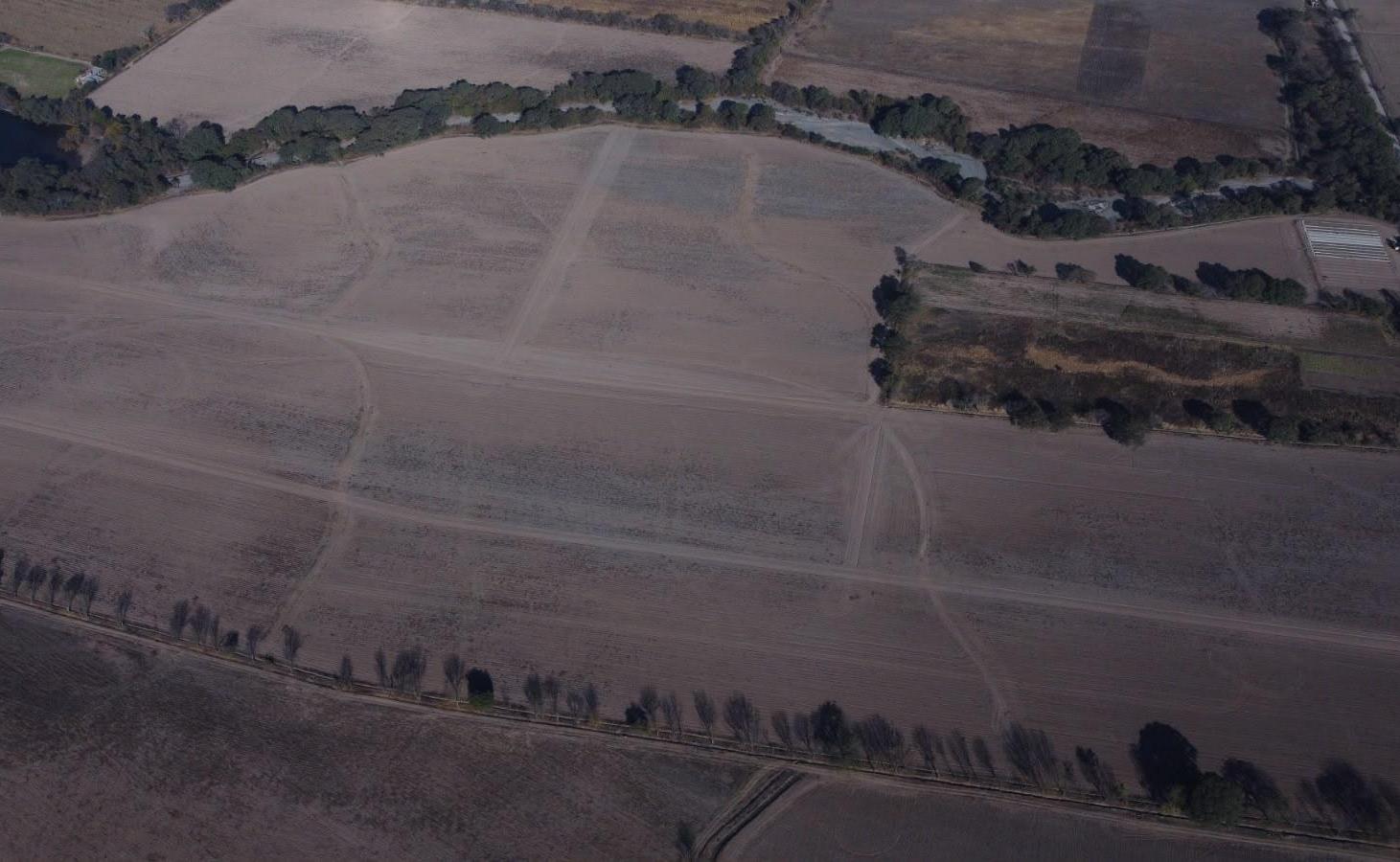 Foto de CAMPO en VENTA, Chocoana, Salta Argentina, 38,5 hectáreas productivas., imagen 2