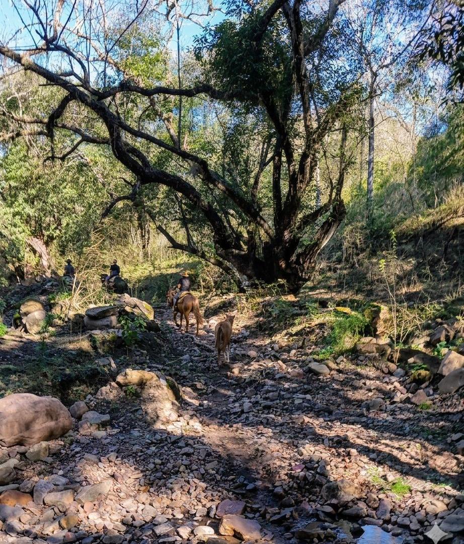 Foto de Terreno en Capital, imagen 4