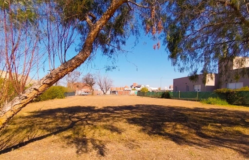 Foto de TERRENO EL PRADO, imagen 5