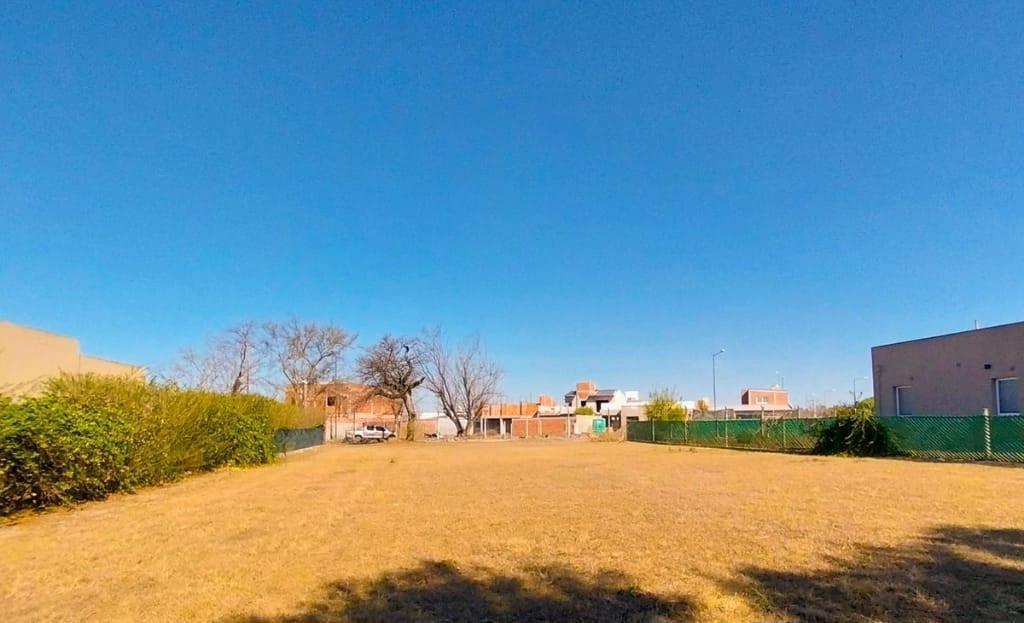 Foto de TERRENO EL PRADO, imagen 3