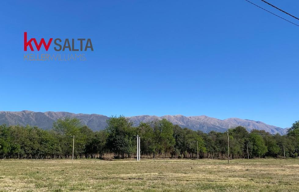 Foto de Terreno en Campo Quijano, imagen 3