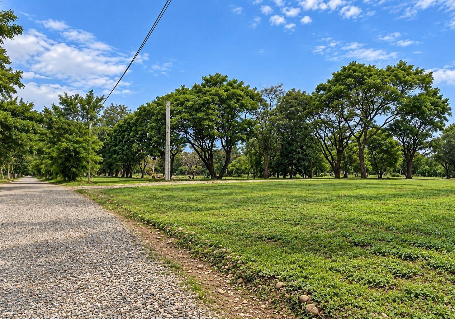 Foto de Terreno en venta Cerros de la Buena Vista Vaqueros, imagen 1