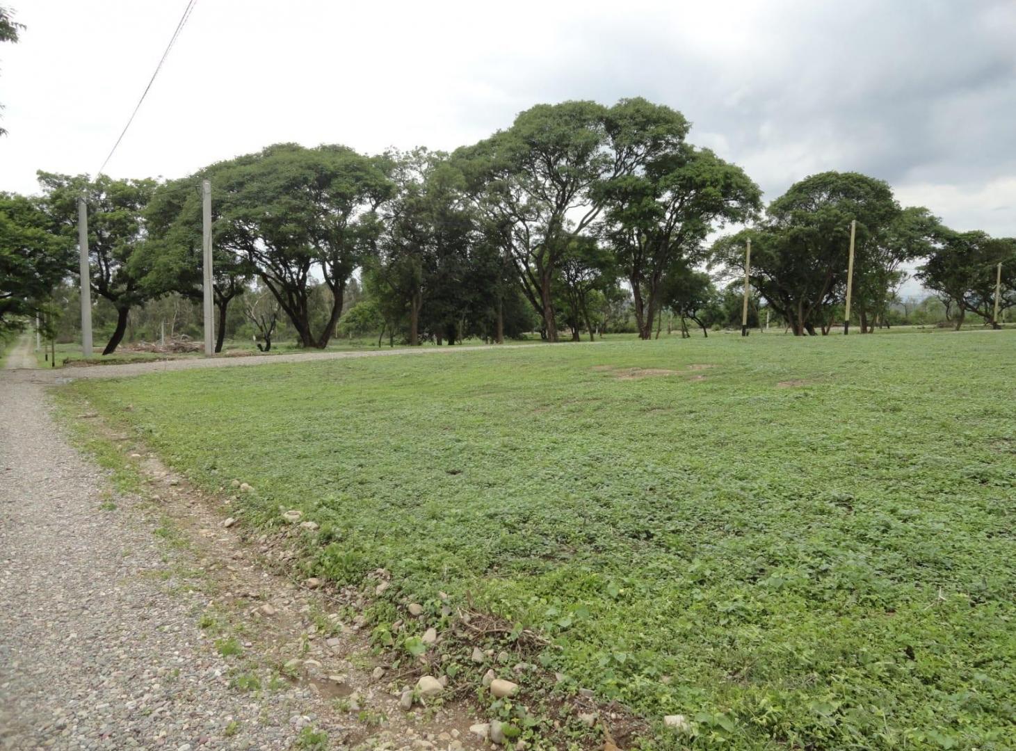 Foto de Terreno en venta Cerros de la Buena Vista Vaqueros, imagen 2