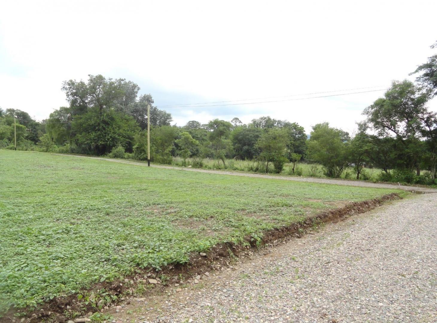Foto de Terreno en venta Cerros de la Buena Vista Vaqueros, imagen 3
