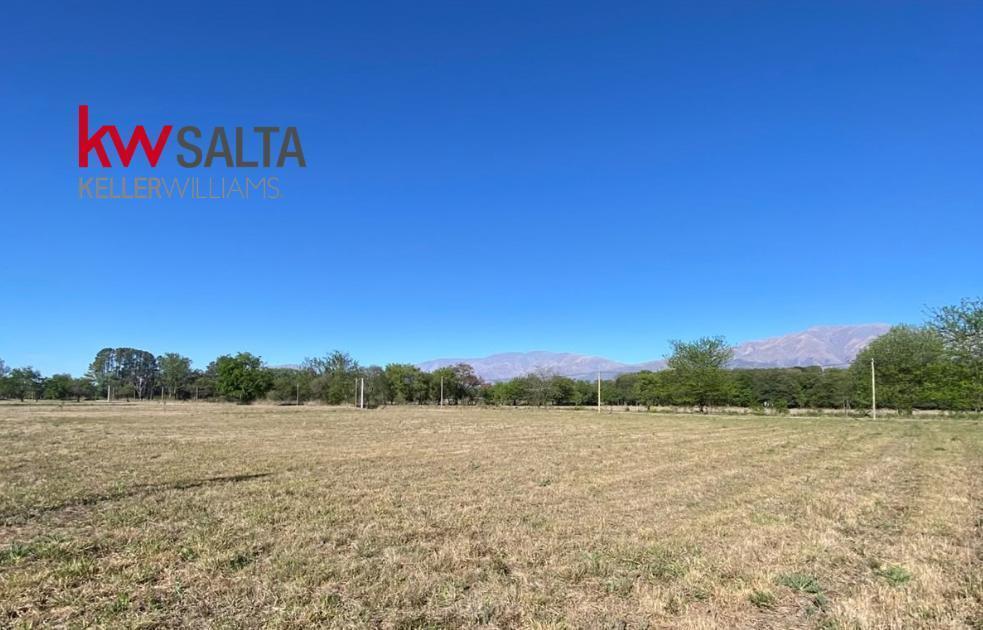 Foto de Terreno en Campo Quijano, imagen 2