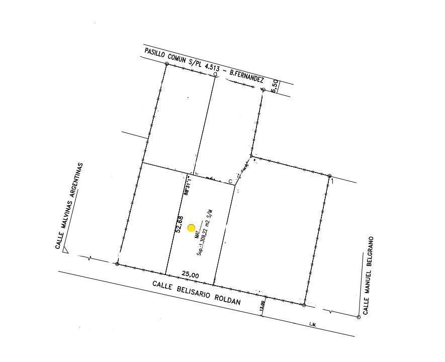 Foto de Terreno Venta San Lorenzo, imagen 3