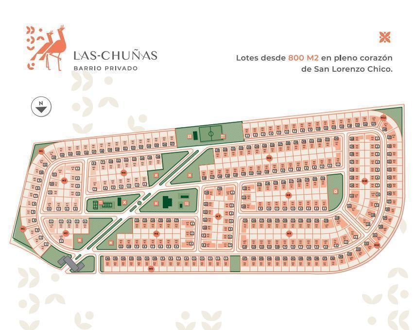Foto de Terreno en Las Chuñas, imagen 3