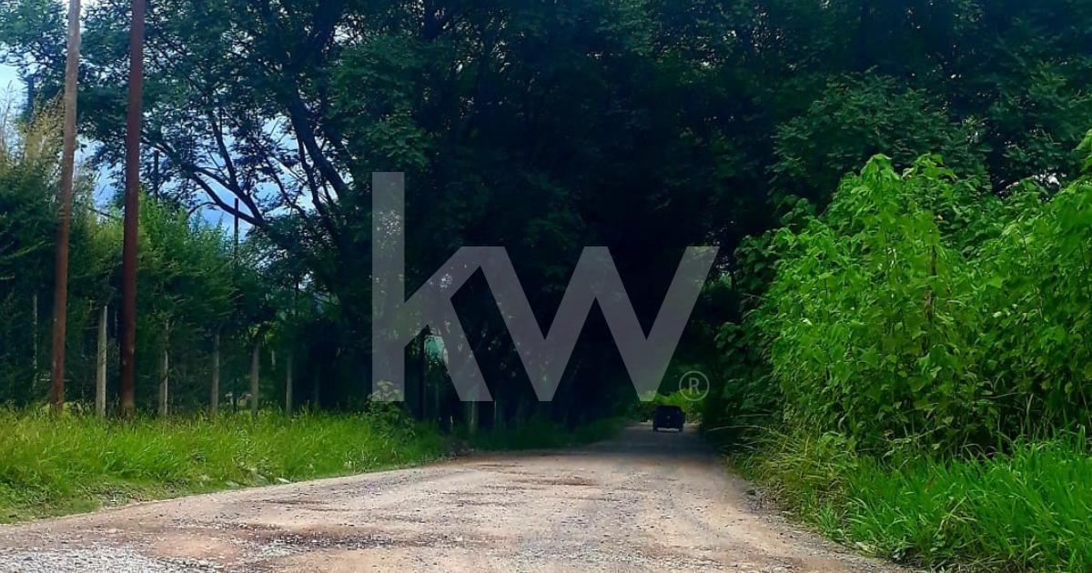 Foto de Venta de Terreno de 1055 m2 en San Luis, Salta, imagen 3