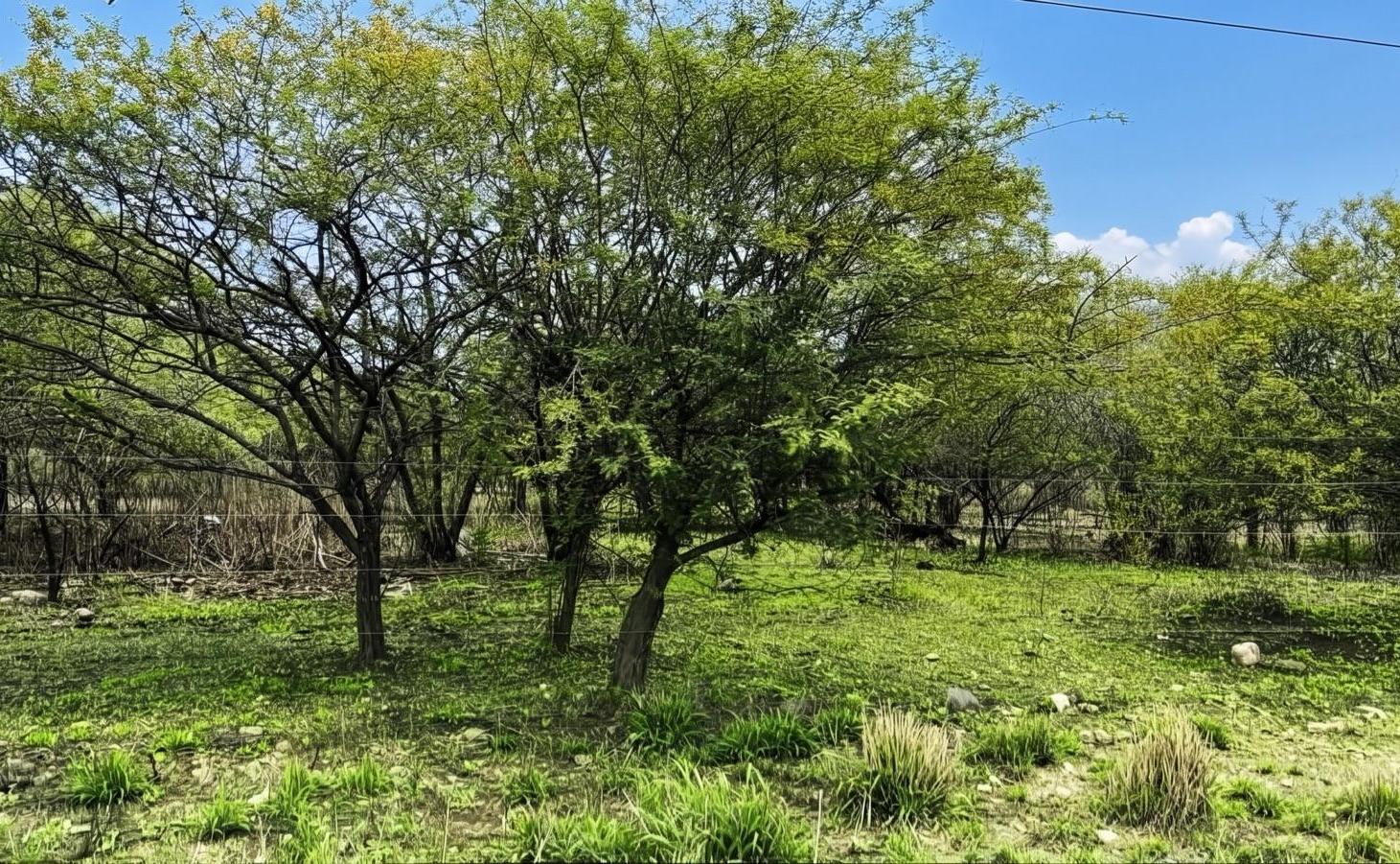 Foto de Terreno - Salta, imagen 4