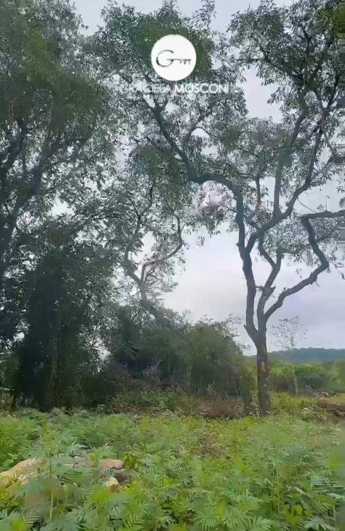 Foto de Terreno en Vertientes, vaqueros, imagen 4
