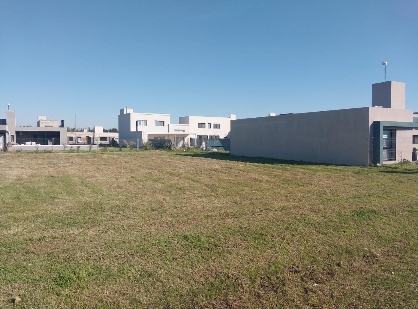 Foto de Terreno en Don Mateo, imagen 3