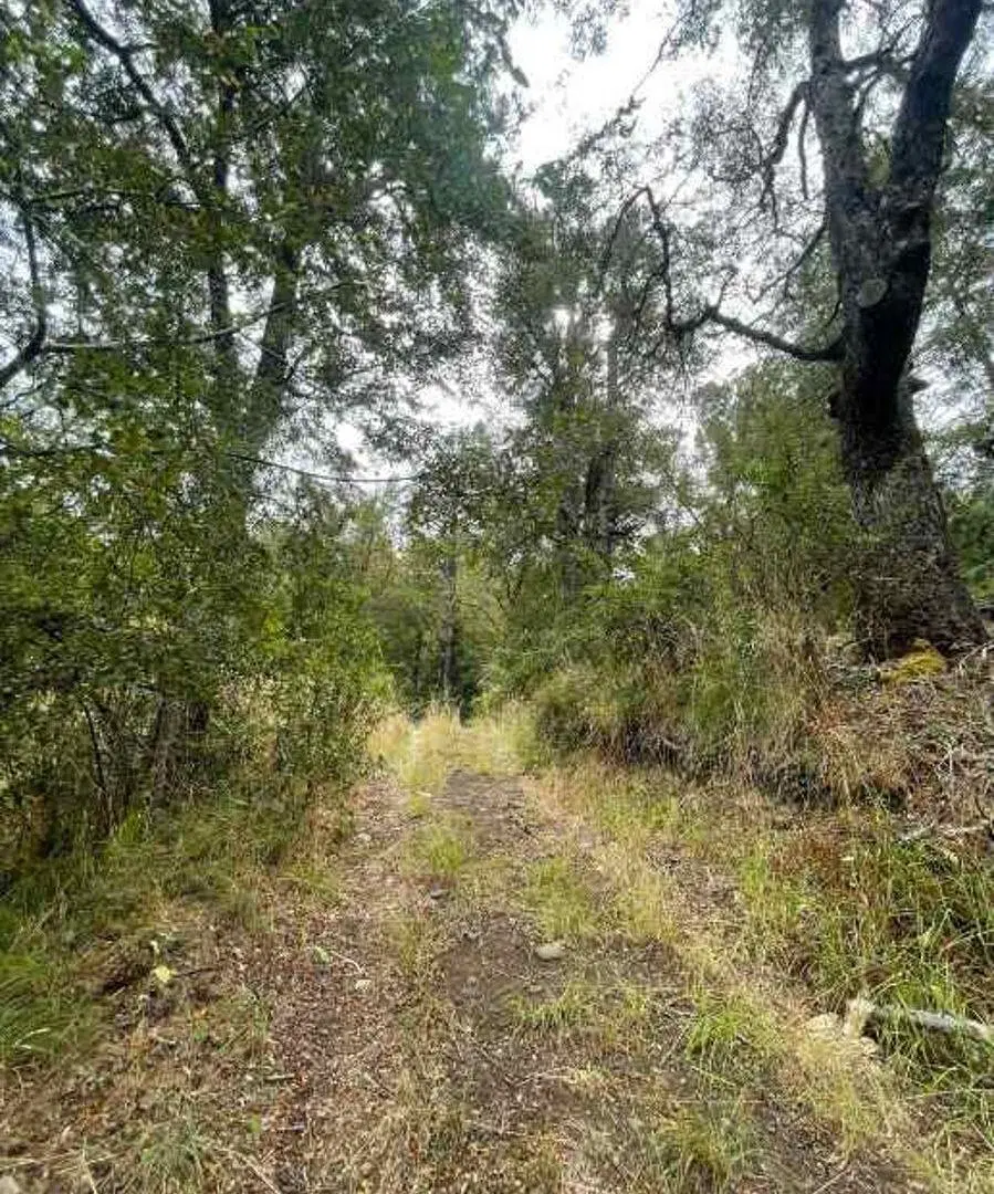 Fracción venta San Martin de Los Andes 2