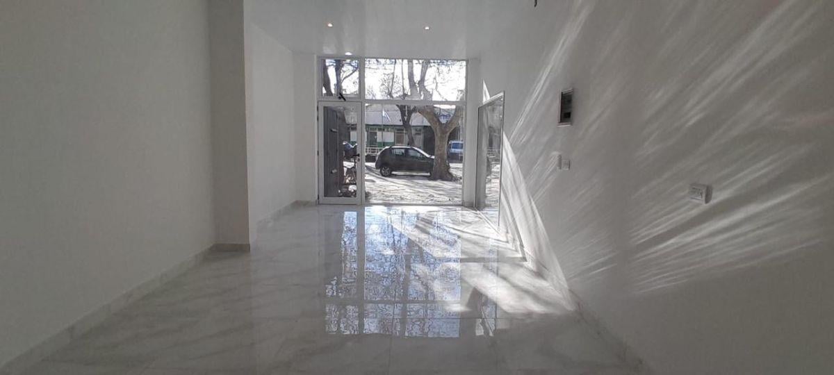 Foto de LOCAL COMERCIAL ZONA LA PERLA, imagen 2
