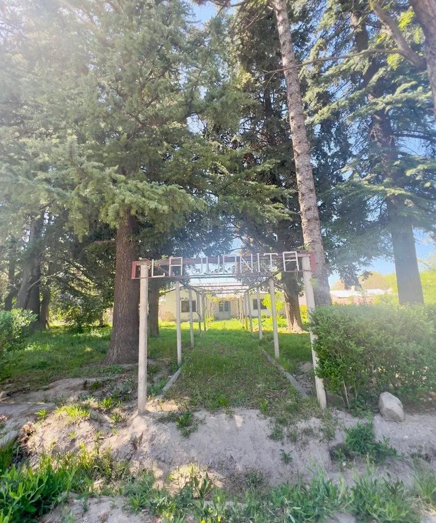 Venta Lote con Galpón y casa a refaccionar 4