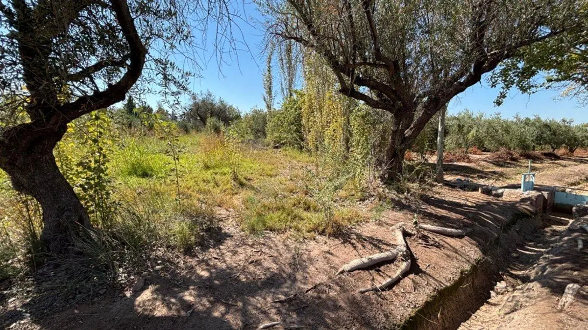 VENTA GRAN TERRENO 6000m2, VIDELA ARANDA, MAIPÚ 4