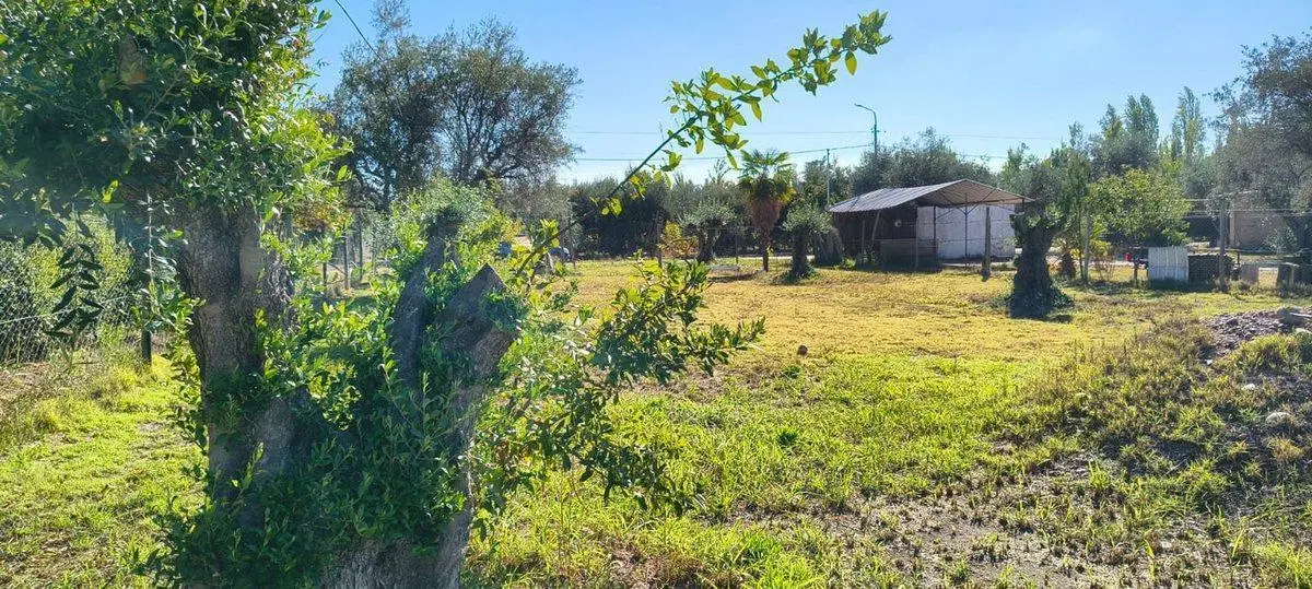 VENTA DE HERMOSO LOTE EN COQUIMBITO 3