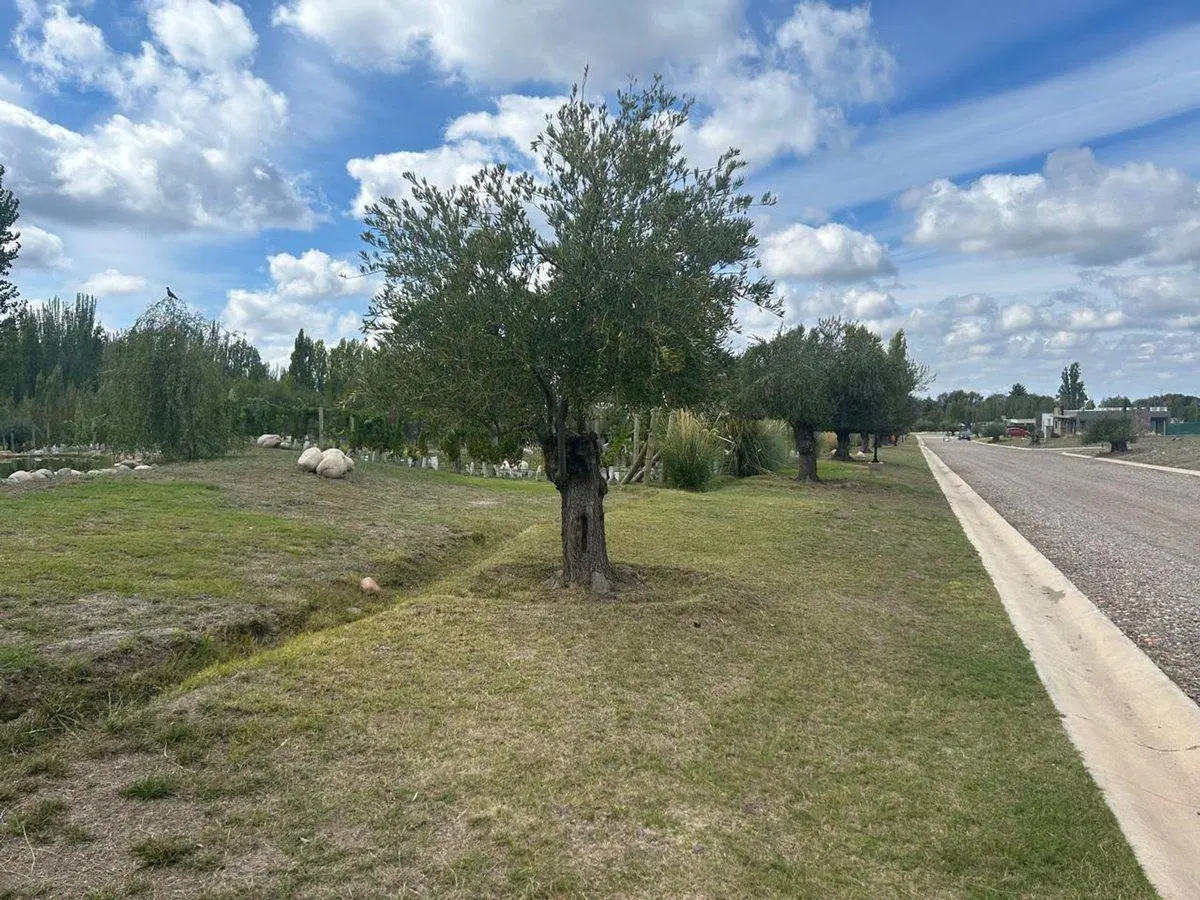 TERRENOS EN BARRIO PRIVADO ËNTREVIDES¨, VALLE DE U 4