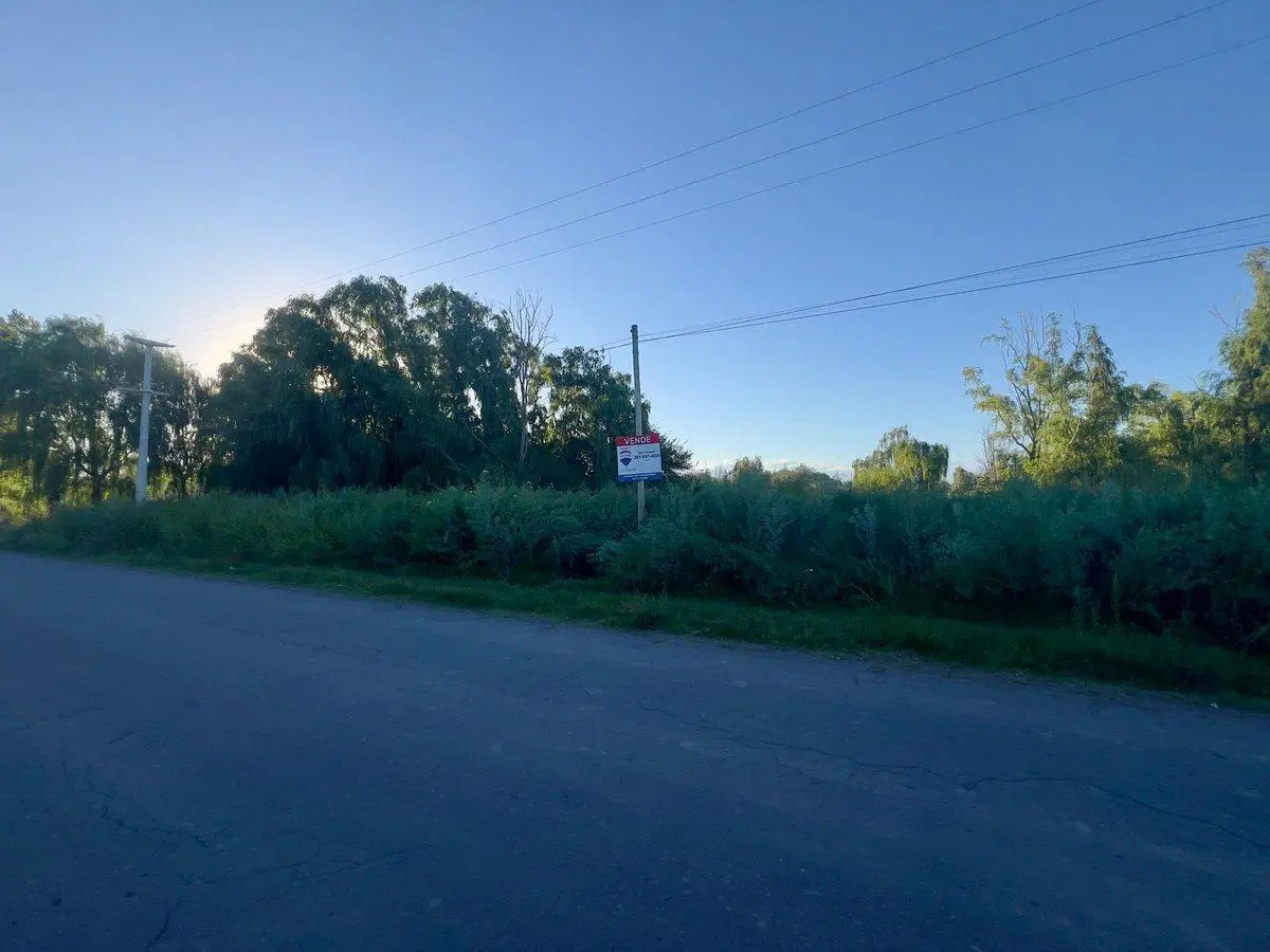 LOTE EN VENTA , LA CONSULTA , SAN CARLOS 4