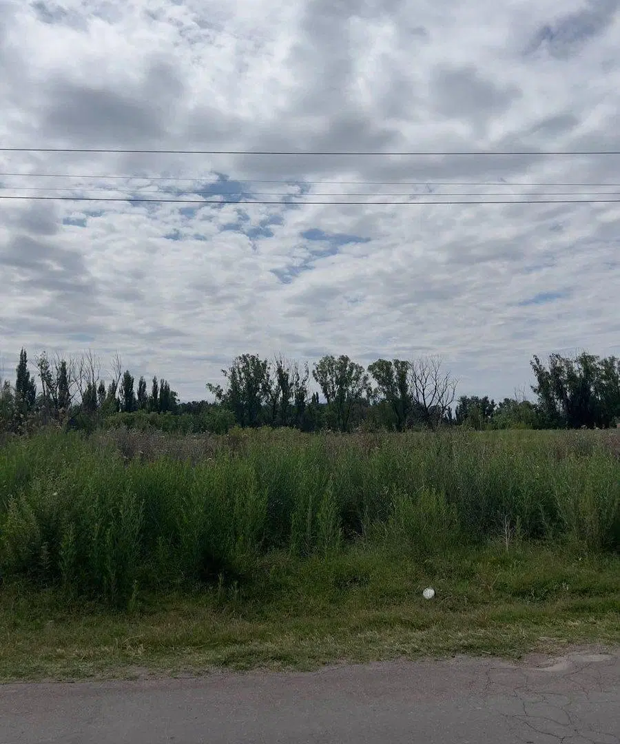 LOTE EN VENTA , LA CONSULTA , SAN CARLOS 3