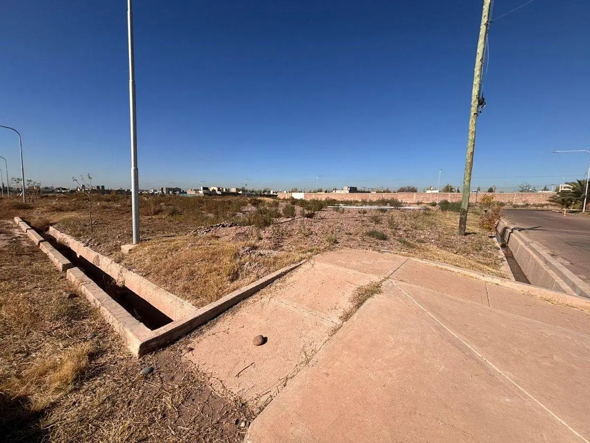 VENTA LOTE VIEJO TONEL II 3
