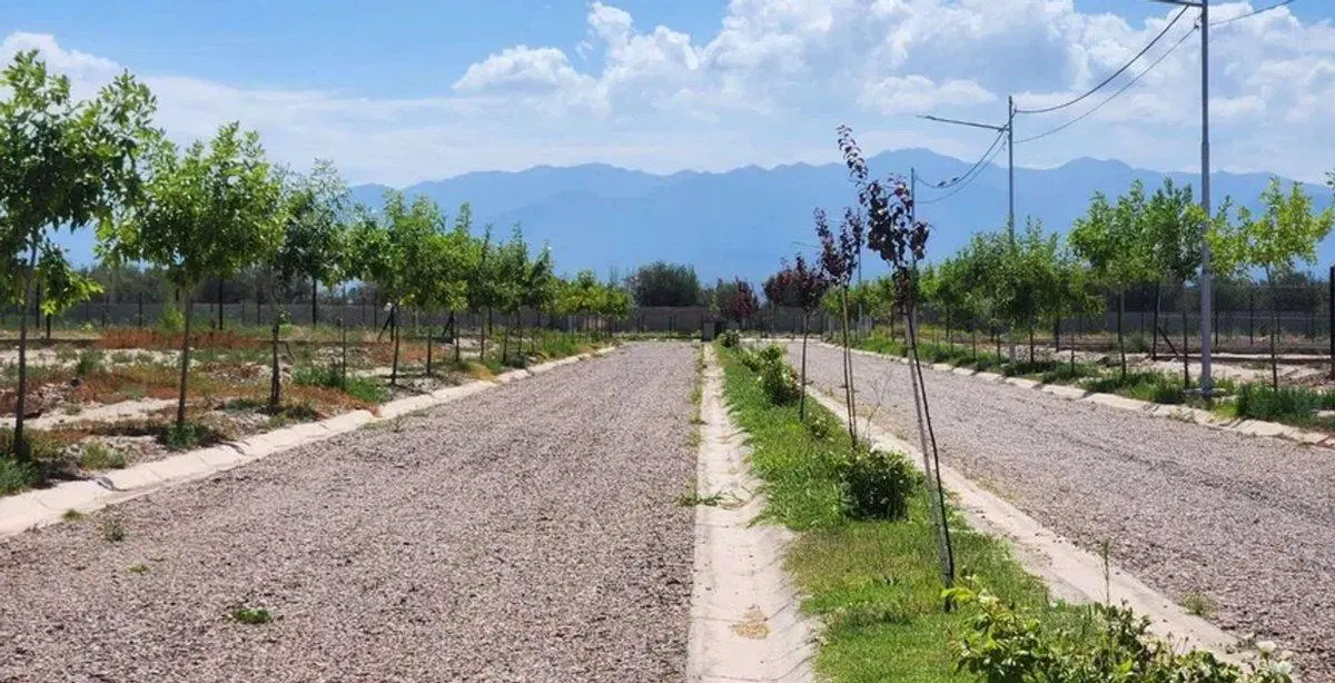 GRAN TERRENO 900M2 BARRIO ATARDECERES DE VIEYTES 3