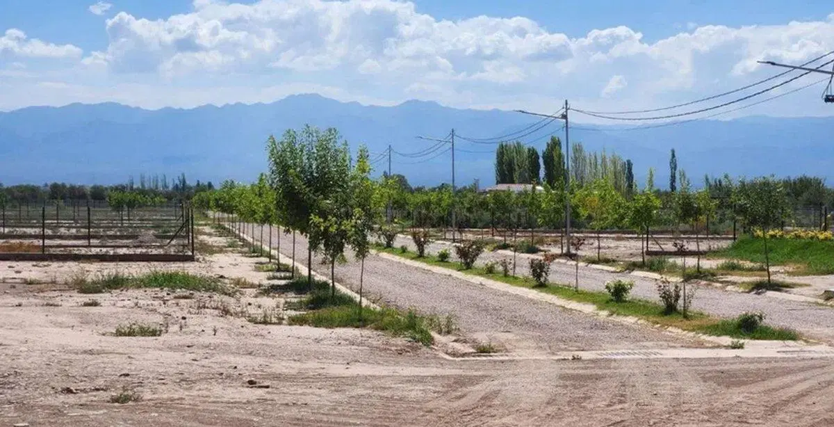 GRAN TERRENO 900M2 BARRIO ATARDECERES DE VIEYTES 4