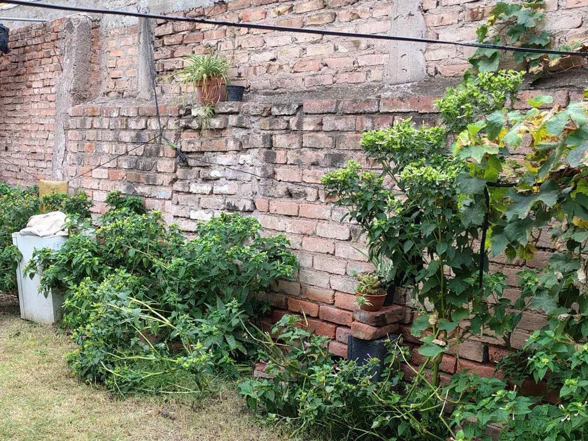 Remax vende casa y terreno apto urbanizacion 5
