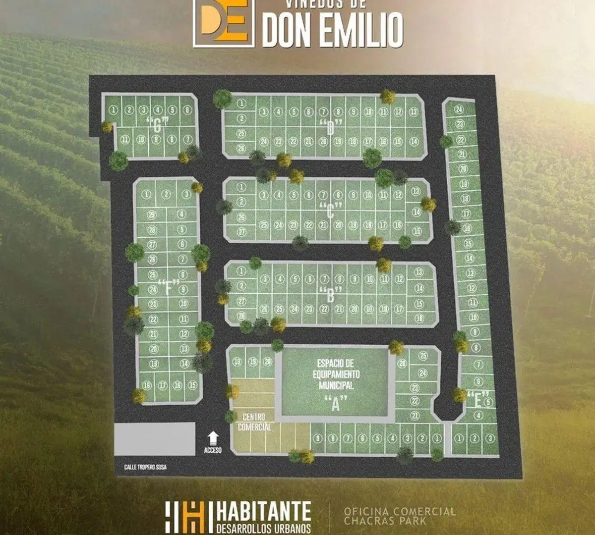 Plano 1