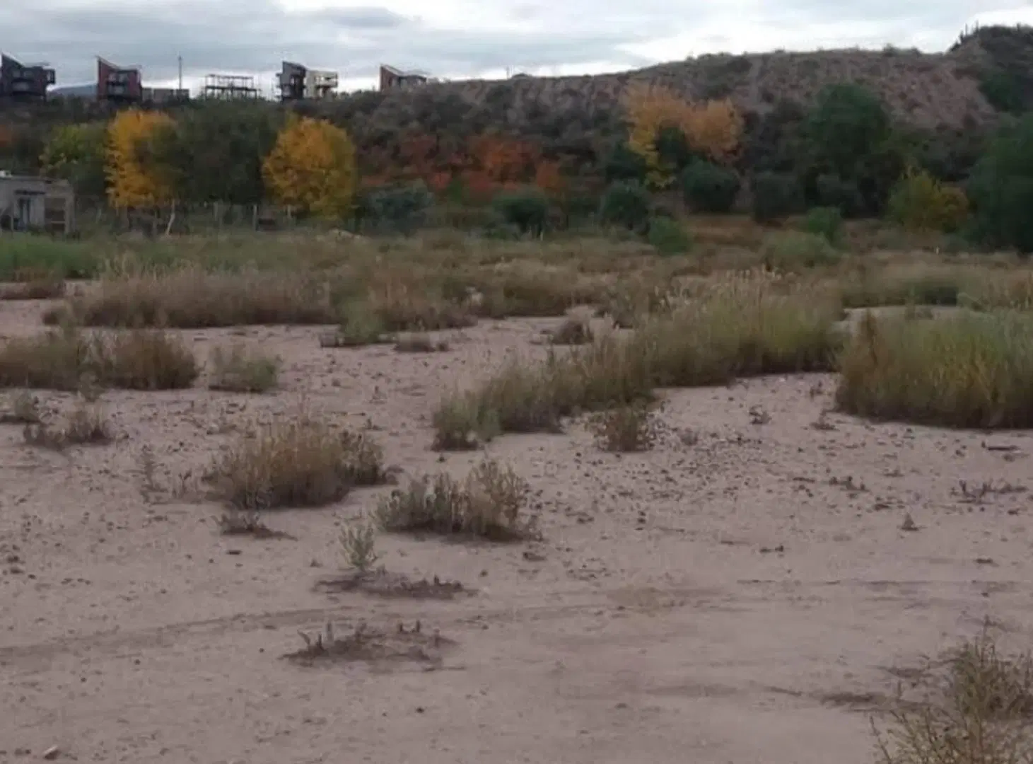 Lote Vistalba 4