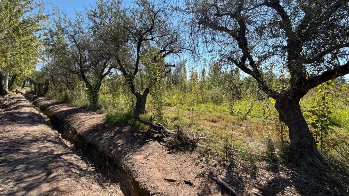 VENTA GRAN TERRENO 6000m2, VIDELA ARANDA, MAIPÚ 4