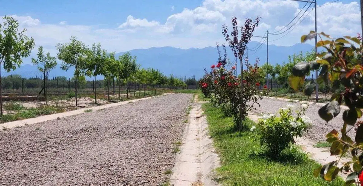 GRAN TERRENO 900M2 BARRIO ATARDECERES DE VIEYTES 4
