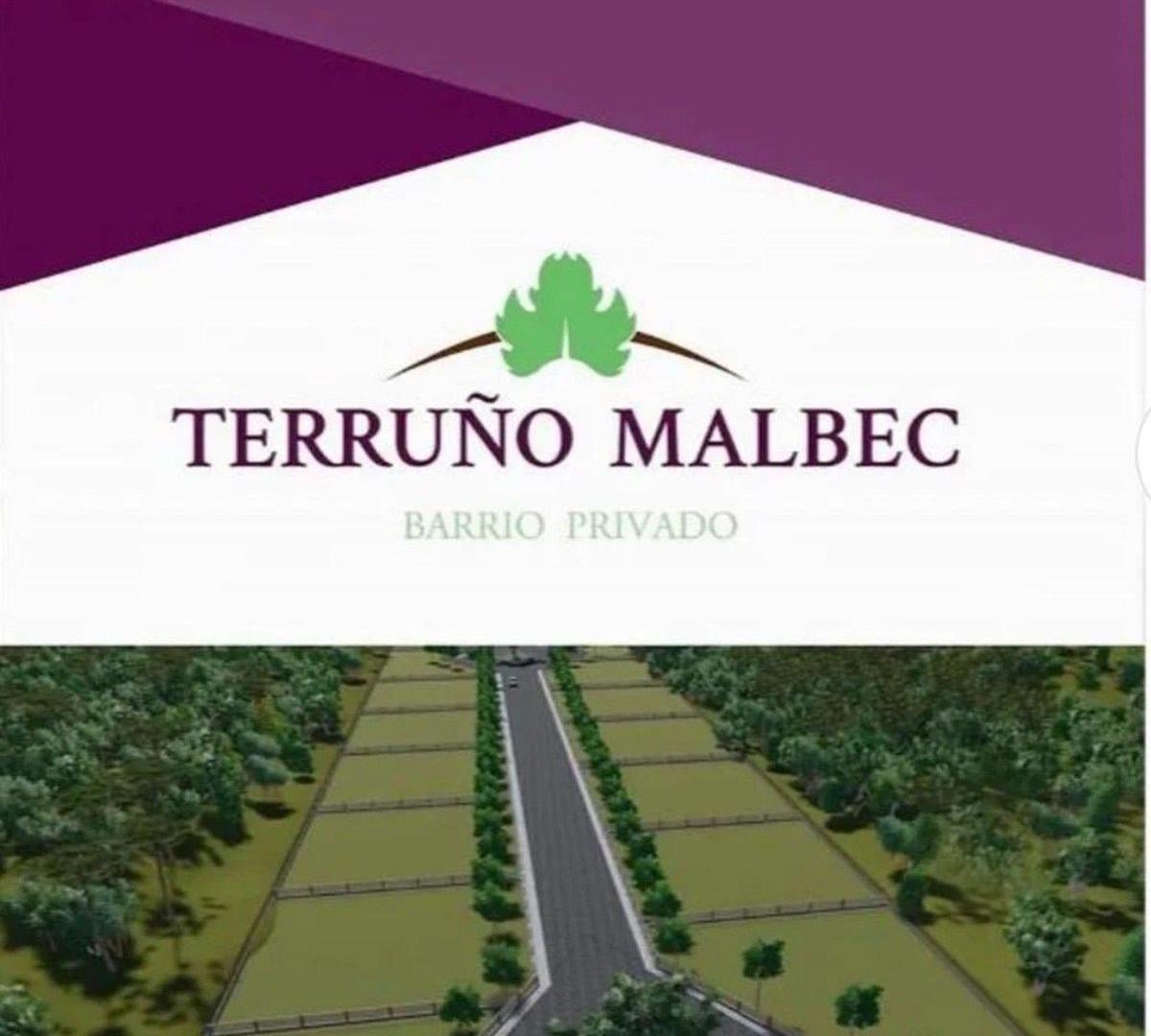 Foto de VENTA LOTE 300 M2 CRUZ DE PIEDRA MAIPU, imagen 2