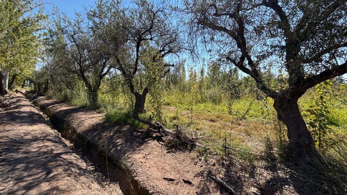 Foto de VENTA GRAN TERRENO 6000m2, VIDELA ARANDA, MAIPÚ, imagen 3